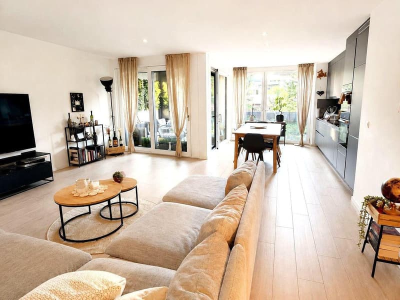APPARTEMENT 4.5 PCES ECHALLENS (3)