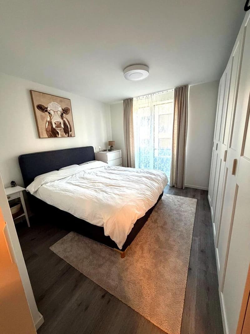 APPARTEMENT 4.5 PCES ECHALLENS (11)