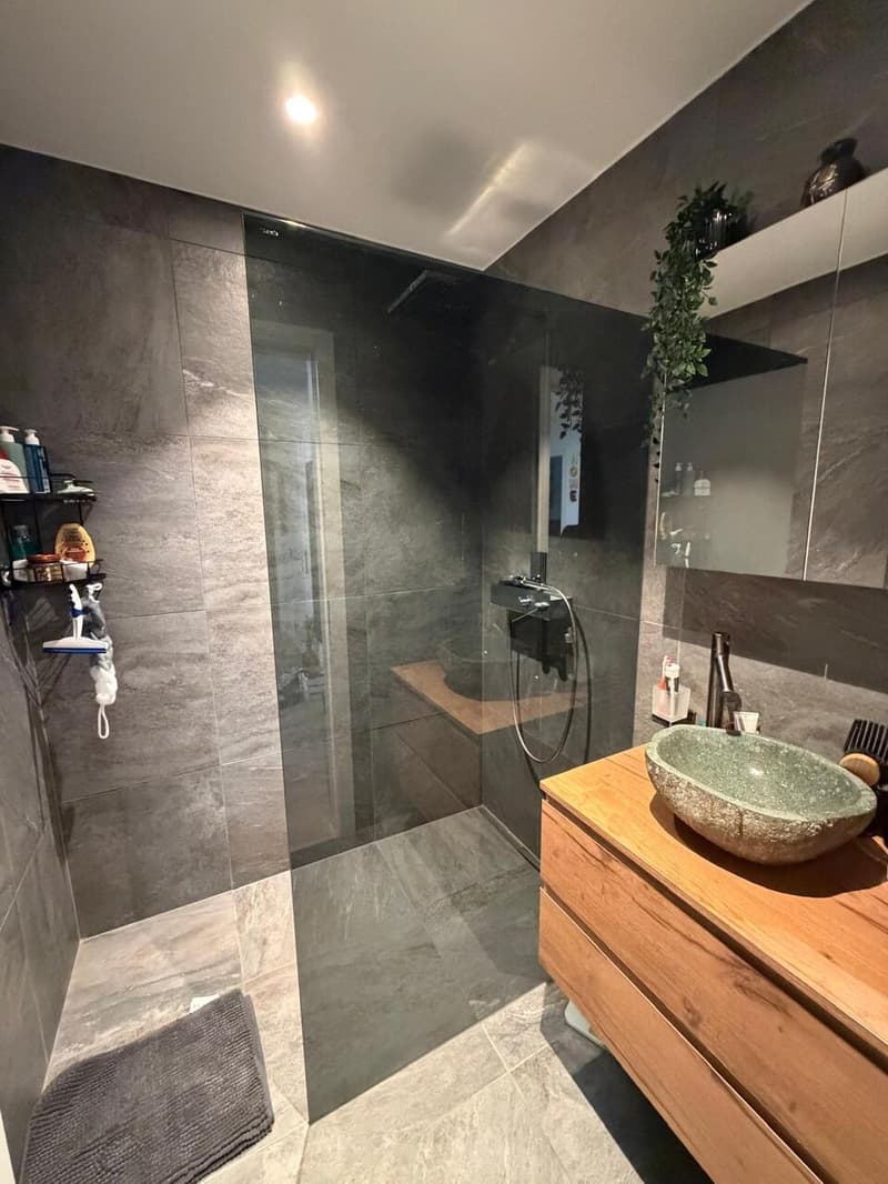 APPARTEMENT 4.5 PCES ECHALLENS (8)