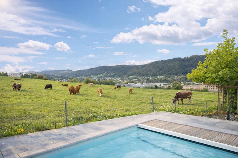5½-Zimmer Haus mit Pool und herrlicher Weitsicht (4)