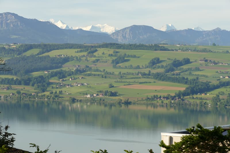 Blick auf Sempachersee und Berge