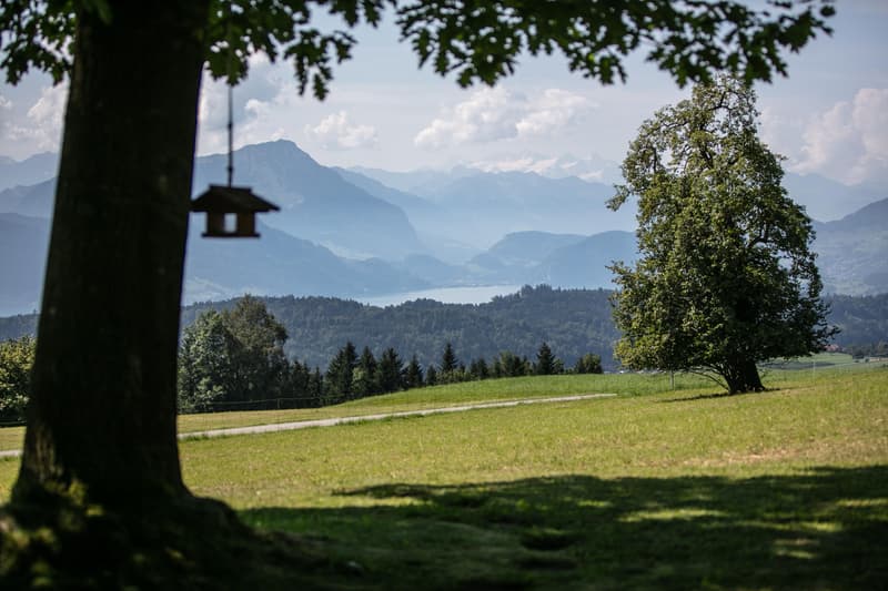 Oase im Grünen mit Panoramasicht (4)