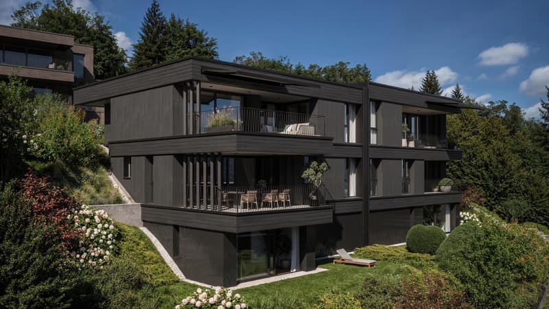 4.5-Zimmer Doppeleinfamilienhaus in Unterägeri - Neubauprojekt HORIZON (1)