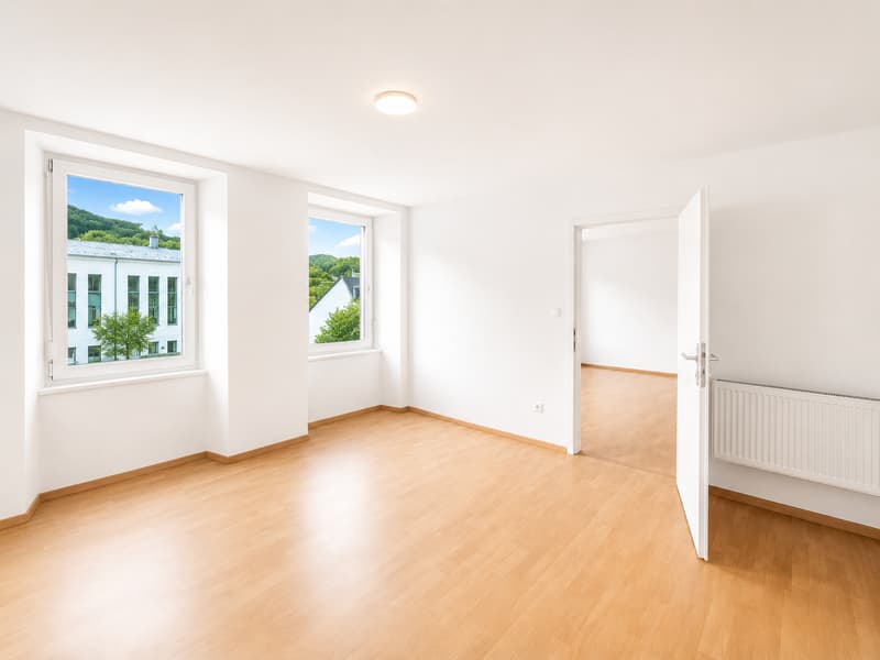 Magnifique 4.5 pièces, très spacieux et lumineux avec cuisine et salle de bain moderne ! (7)