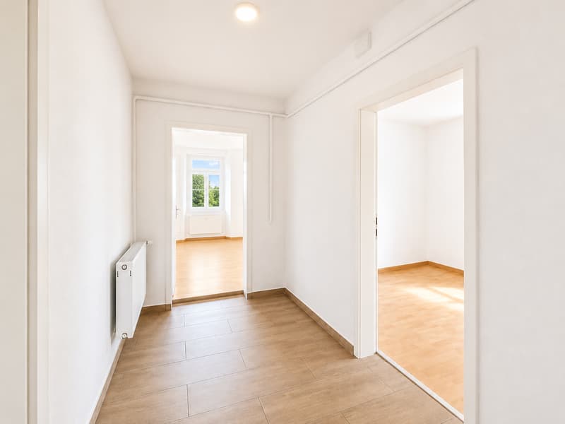 Magnifique 4.5 pièces, très spacieux et lumineux avec cuisine et salle de bain moderne ! (6)