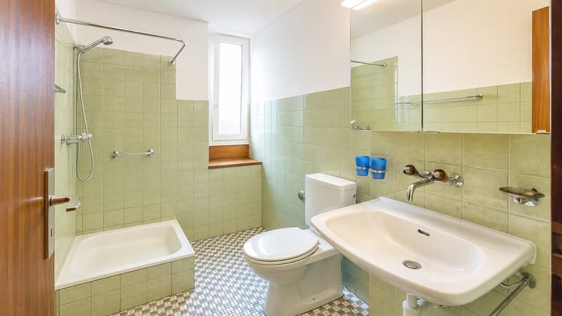 Très agréable appartement spacieux disponible immédiatement dans un quartier calme avec garage !!! (2)