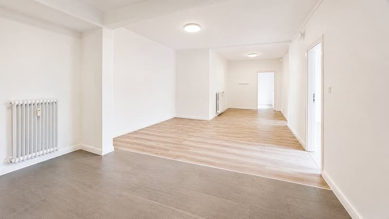Magnifique appartement de 3.5 pièces récemment rénovée !! (3)
