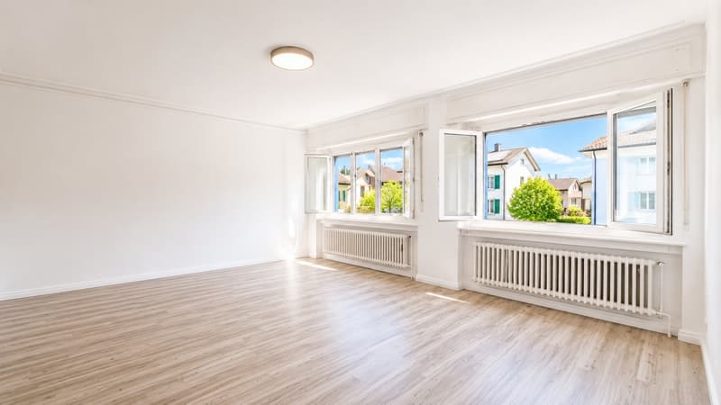 Magnifique appartement de 3.5 pièces récemment rénovée !! (4)