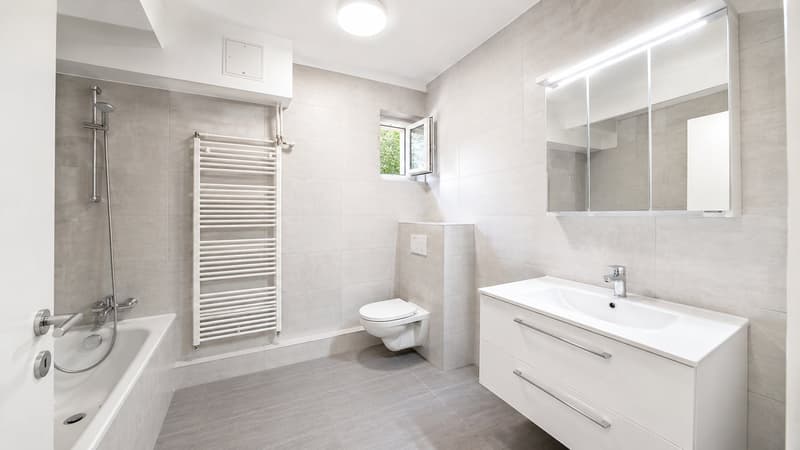 Magnifique appartement de 3.5 pièces récemment rénovée !! (6)