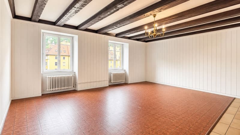 Appartement de 4,5 pièces magnifique dans un environnement très calme et agréable! (7)