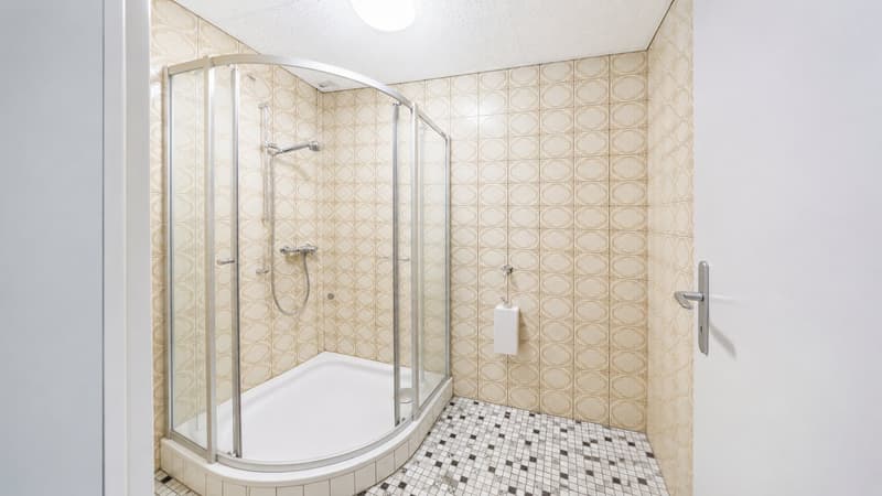 Appartement de 4,5 pièces magnifique dans un environnement très calme et agréable! (9)