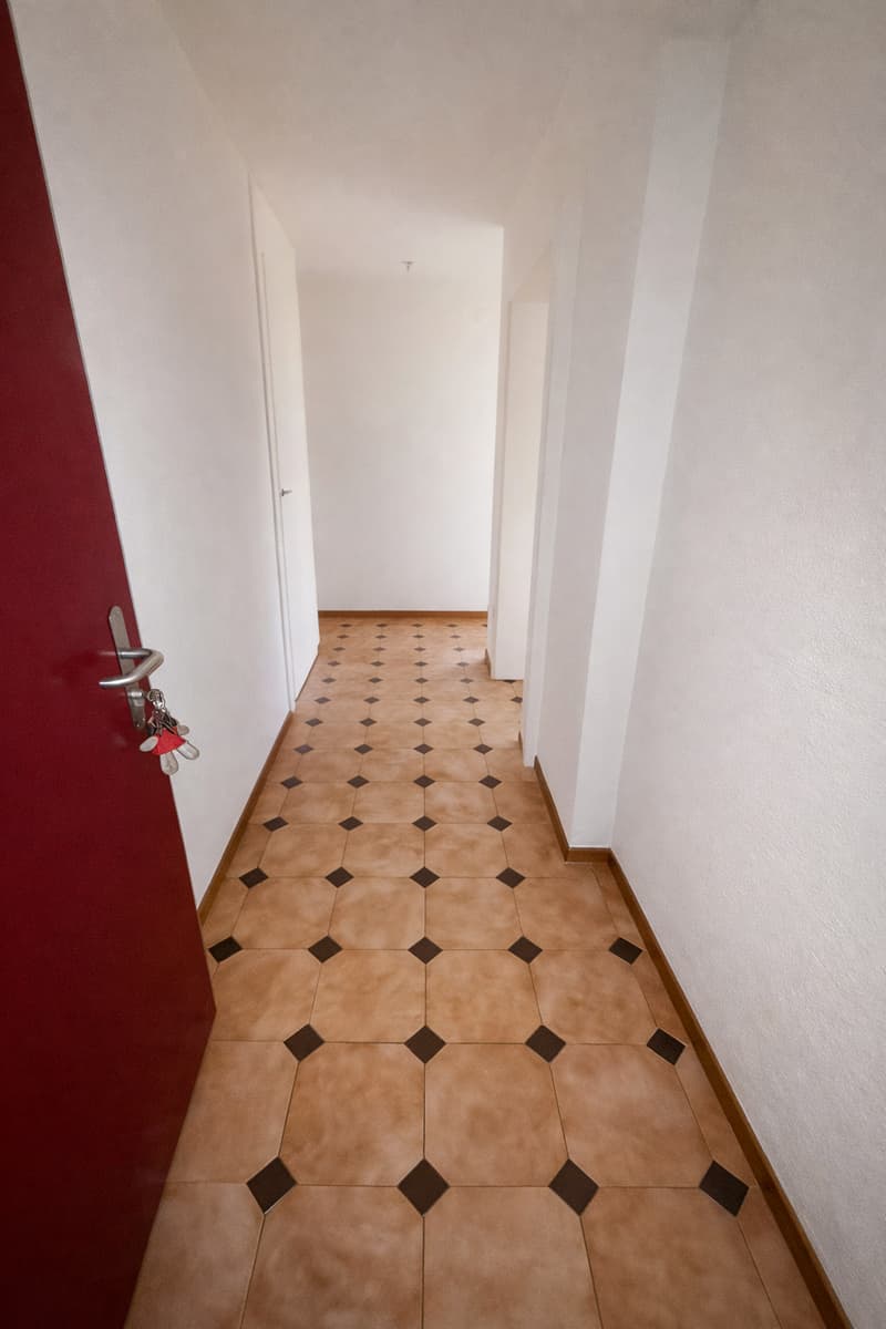 Charmant appartement de 3,5 pièces avec vue panoramique- Premier mois de loyer offert! ! (4)