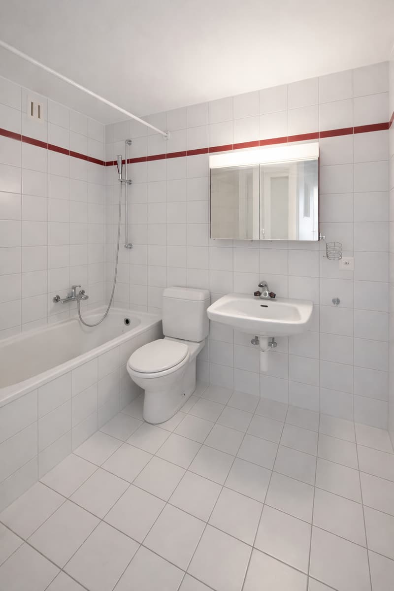 Charmant appartement de 3,5 pièces avec vue panoramique- Premier mois de loyer offert! ! (9)