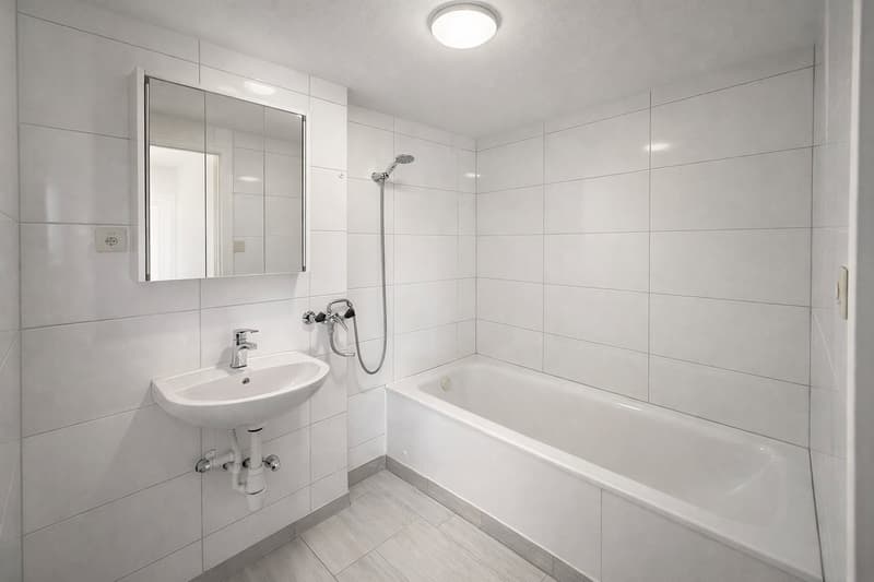 Magnifique appartement avec vue panoramique à La Chaux-de-Fonds ! (5)