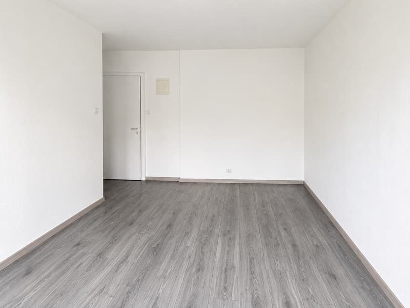 Magnifique studio fraichement rénové - A saisir sans attendre !! (7)