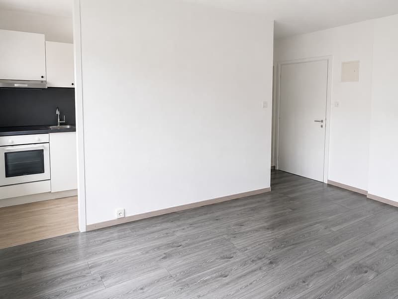 Magnifique studio fraichement rénové - A saisir sans attendre !! (4)