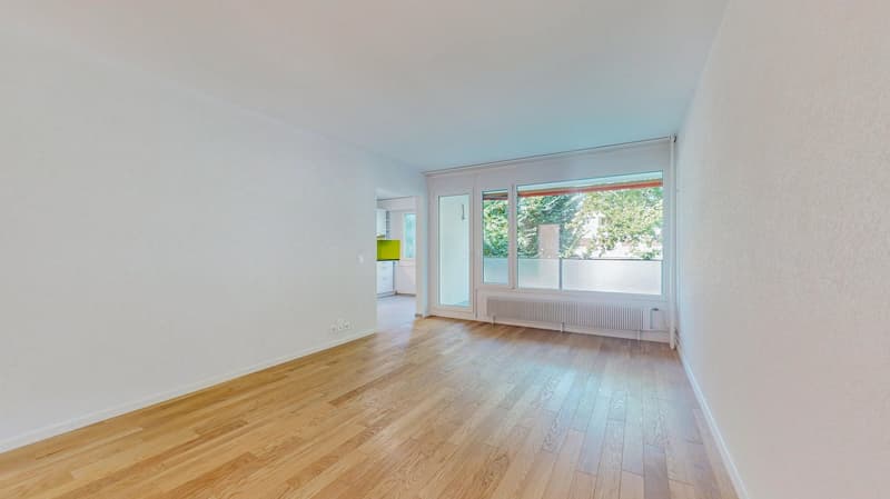 empty room, wooden floor, white walls, large windows, view of trees
