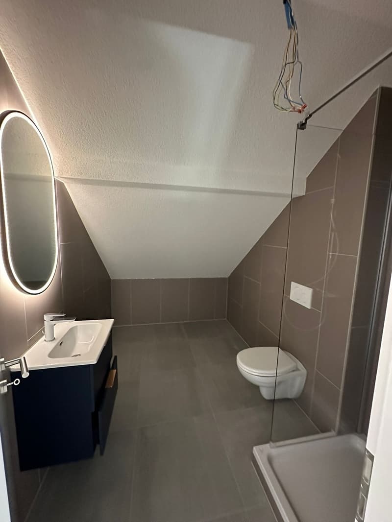 small bathroom with sink, mirror, toilet, and shower