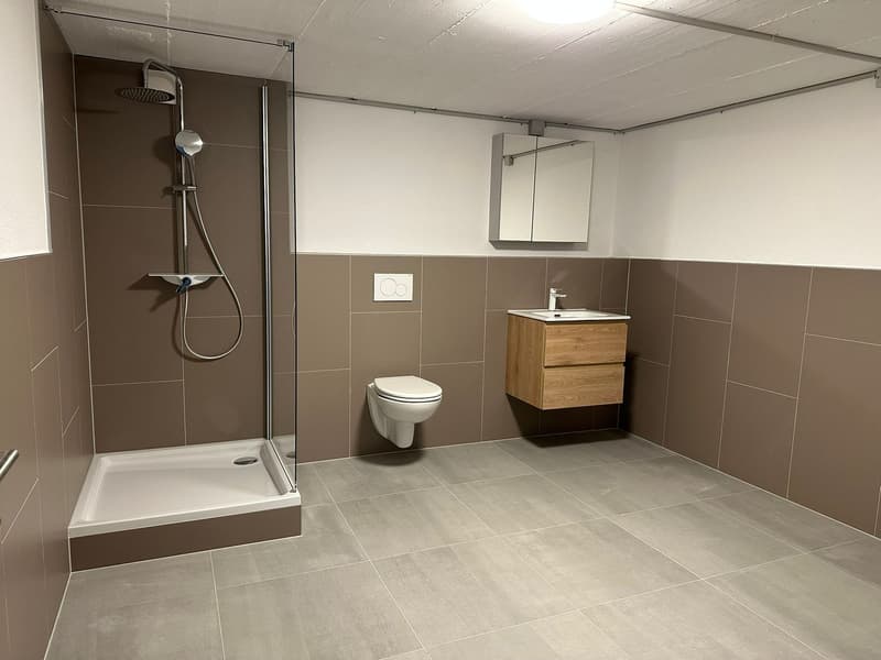 Bathroom with shower, toilet, sink, wooden cabinet, mirror, tiled floor, brown walls