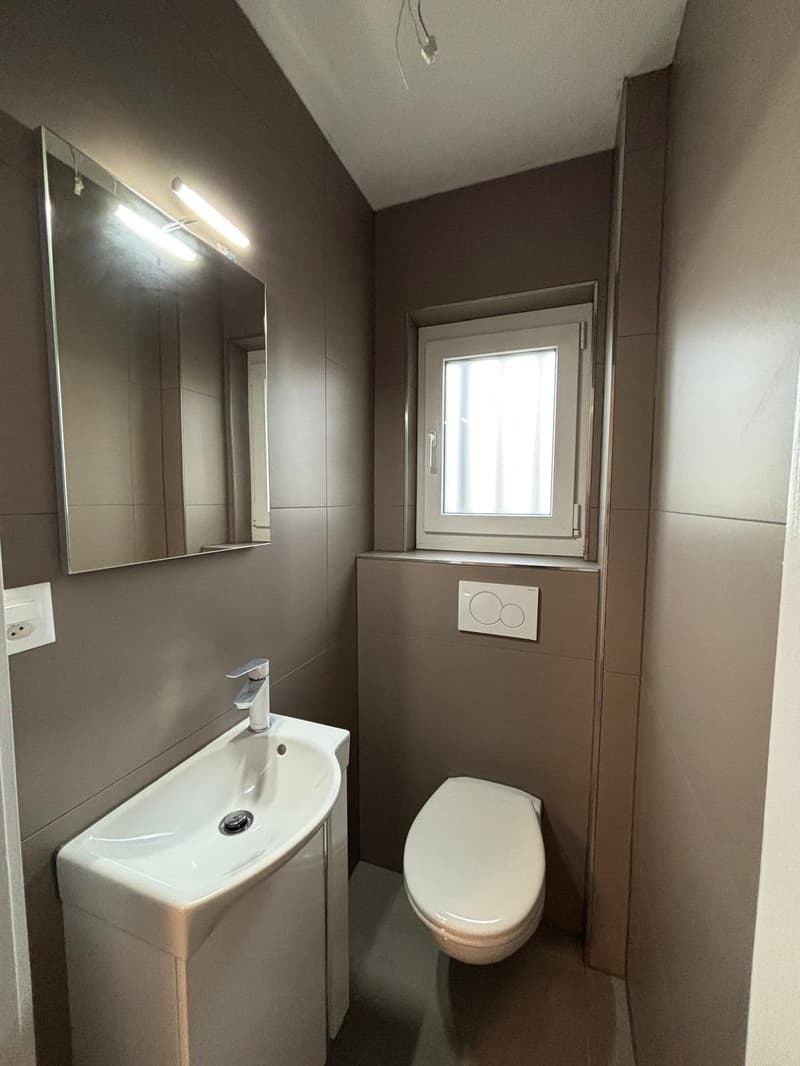 Helle 1-Zimmer-Wohnung in Aarwangen (2)