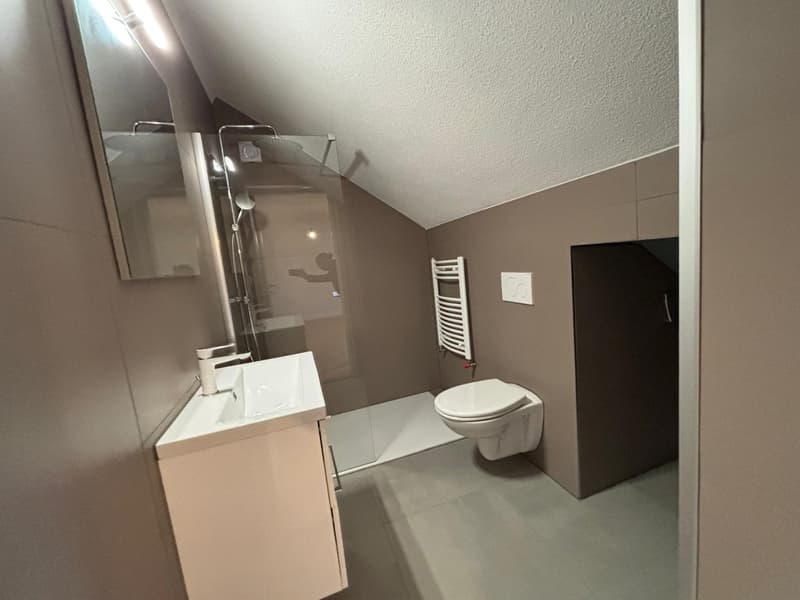 Geräumige 5-Zimmer-Wohnung in Aarwangen (10)