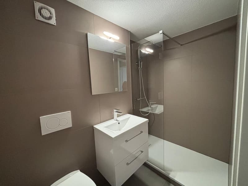 Geräumige 5-Zimmer-Wohnung in Aarwangen (4)