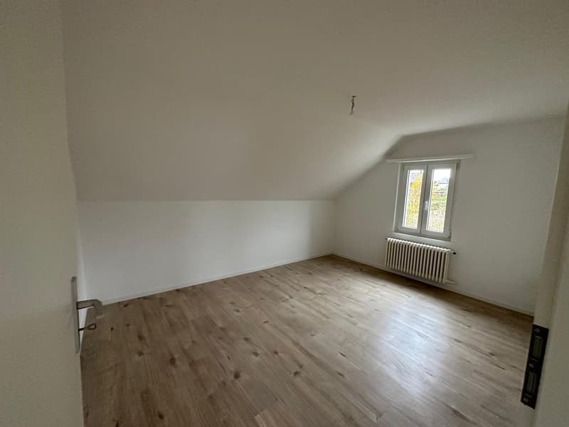 Sanierte 3-Zimmer-Wohnungen an attraktiver Lage (7)