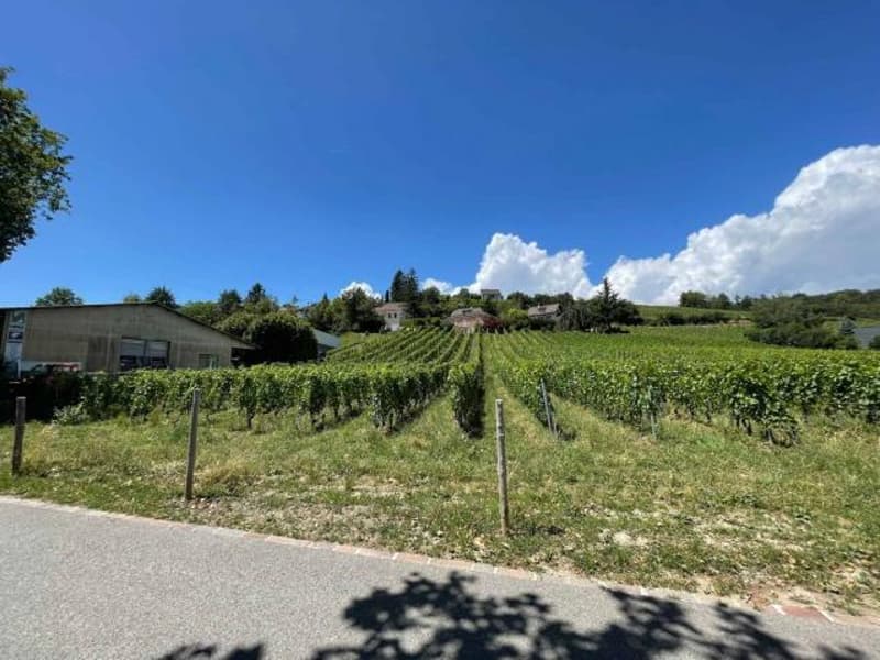 A vendre atelier/arcade de 56 m² lot 5 en zone artisanale d'Echandens (2)