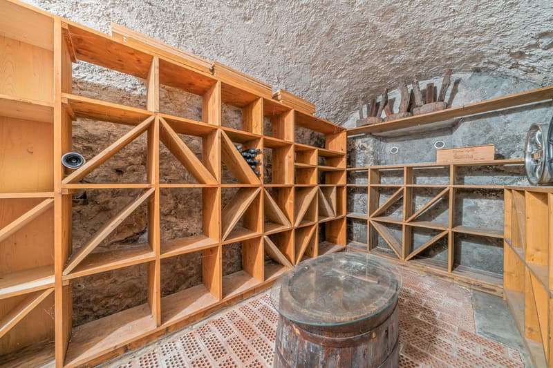 Maison villageoise de 3 logements avec jardin et potentiel foncier (11)