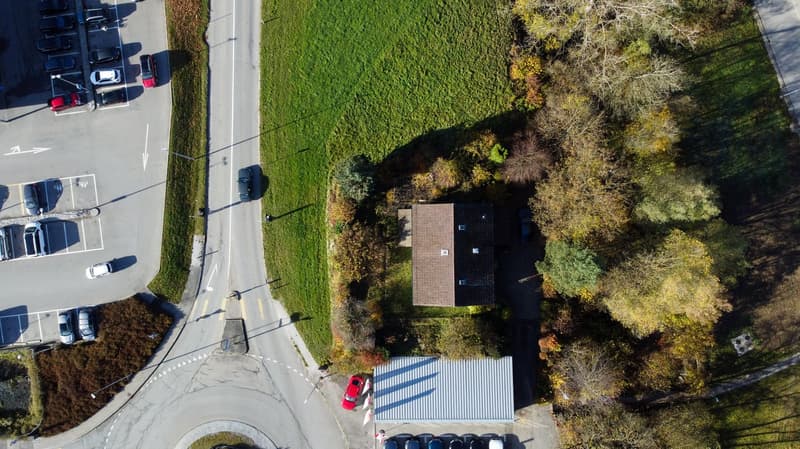 building, driveway, parking area, greenery, small car, road