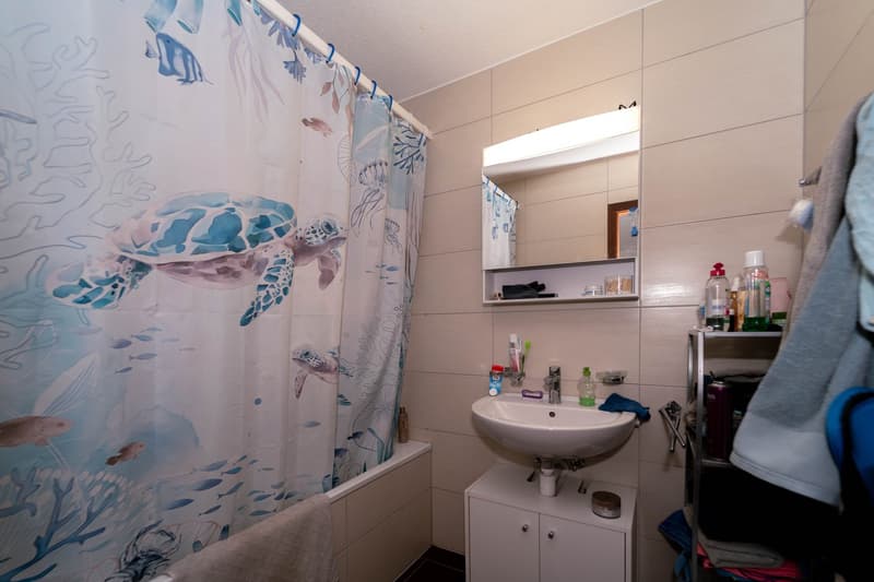 Un appartement familial avec jardin, ouvert sur la campagne (15)