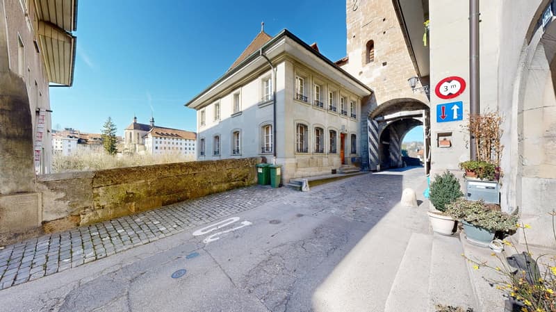 Majestueuse villa au cœur de Fribourg (7)