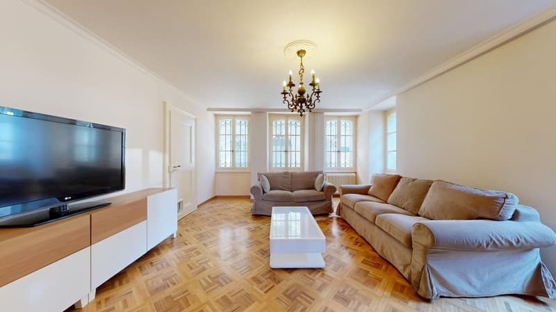 Majestueuse villa au cœur de Fribourg (8)