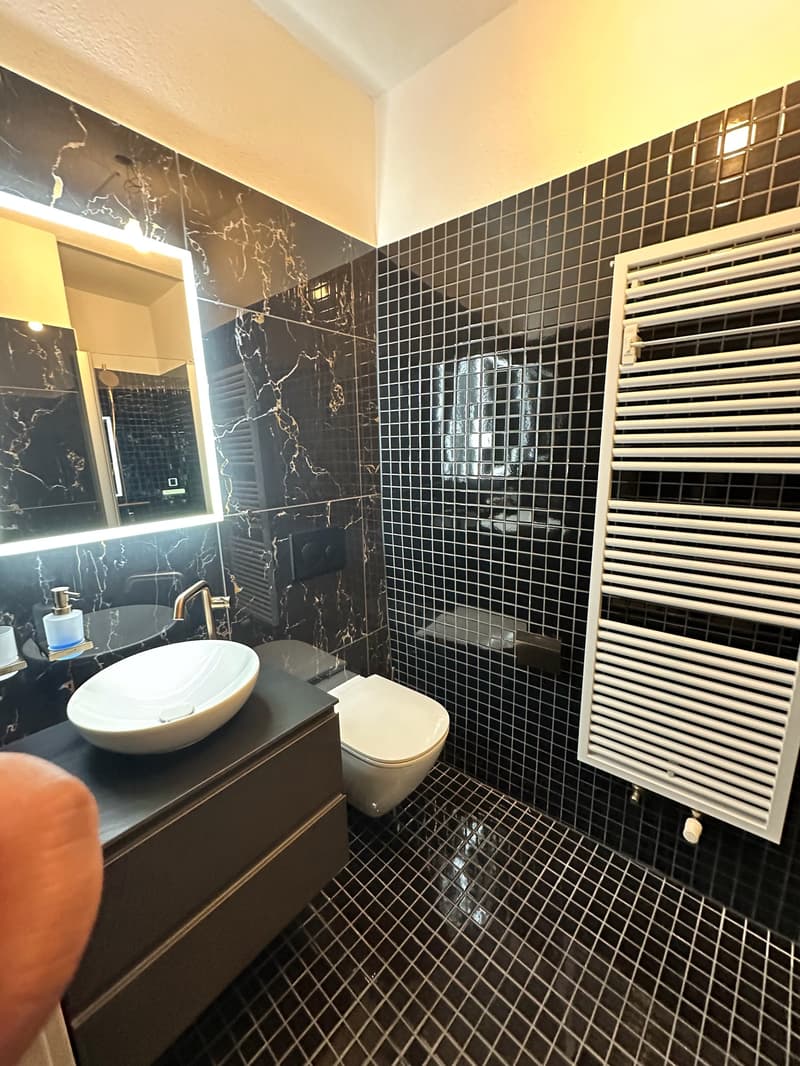 Appartement entièrement rénové avec jardin privatif au cœur de la Basse-Ville de Fribourg (9)