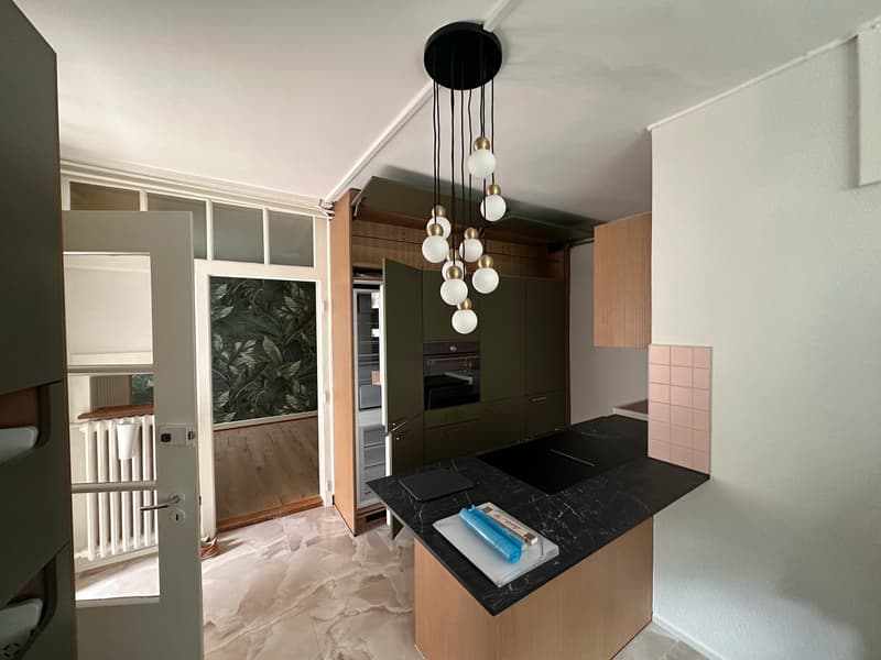 Appartement entièrement rénové avec jardin privatif au cœur de la Basse-Ville de Fribourg (5)