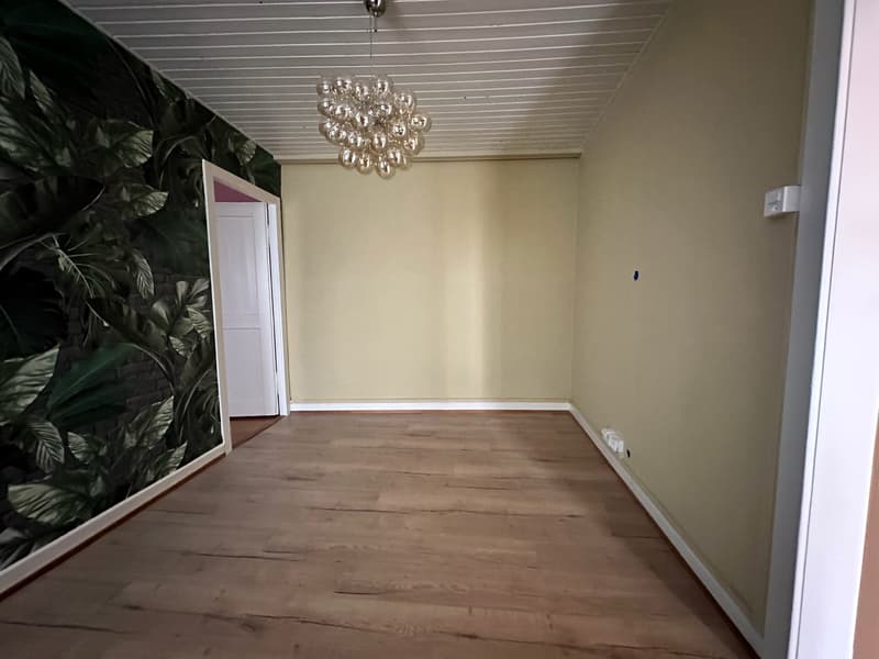 Appartement entièrement rénové avec jardin privatif au cœur de la Basse-Ville de Fribourg (8)