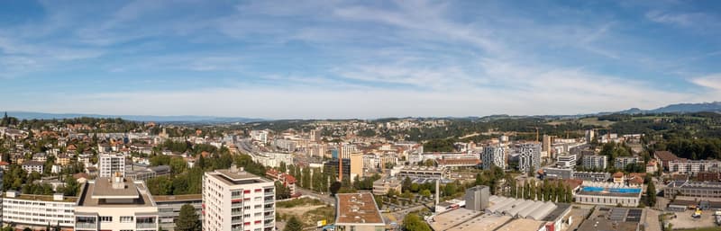Le dernier 3.5 pièces. Le plus haut. (1)