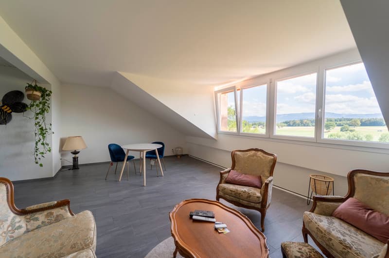 Appartement de 4.5 pièces sous les toits avec séjour entièrement repensé (1)