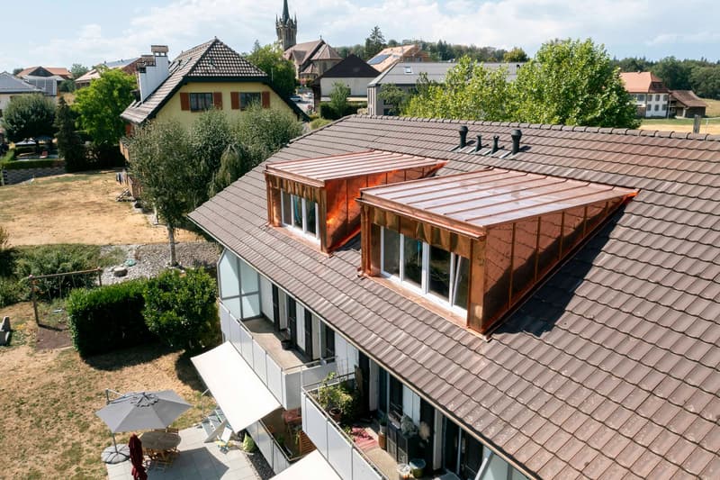 Appartement de 4.5 pièces sous les toits avec séjour entièrement repensé (3)