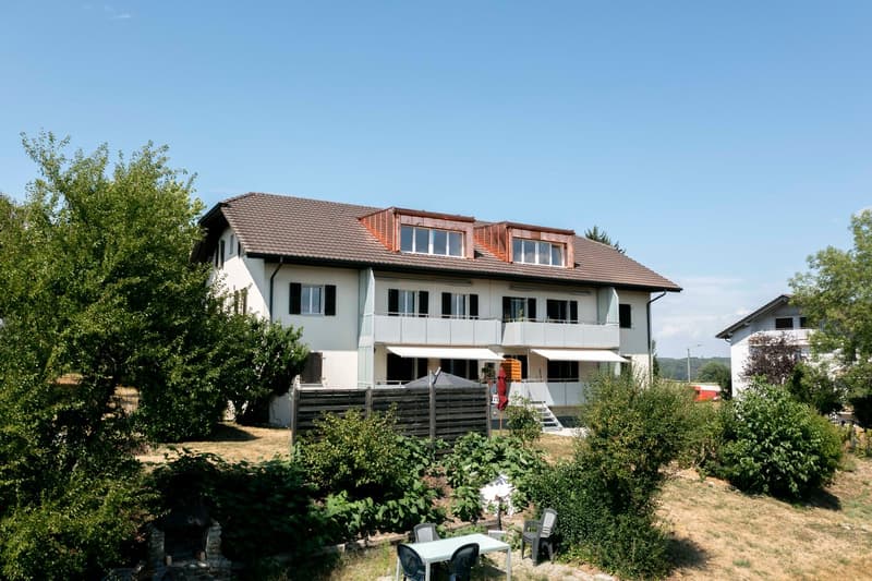 Appartement de 4.5 pièces sous les toits avec séjour entièrement repensé (2)