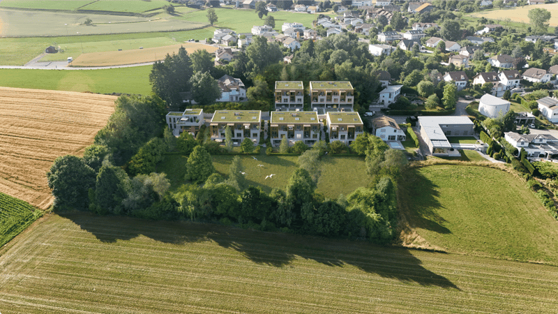 Villa Belvédère : Une maison familiale où chaque espace a sa fonction (4)
