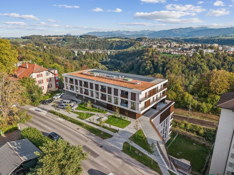 5.5 pièces avec grande terrasse et vue sur les Préalpes (5)