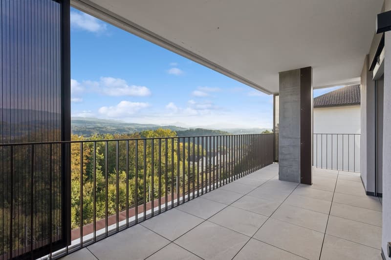 5.5 pièces avec grande terrasse et vue sur les Préalpes (1)