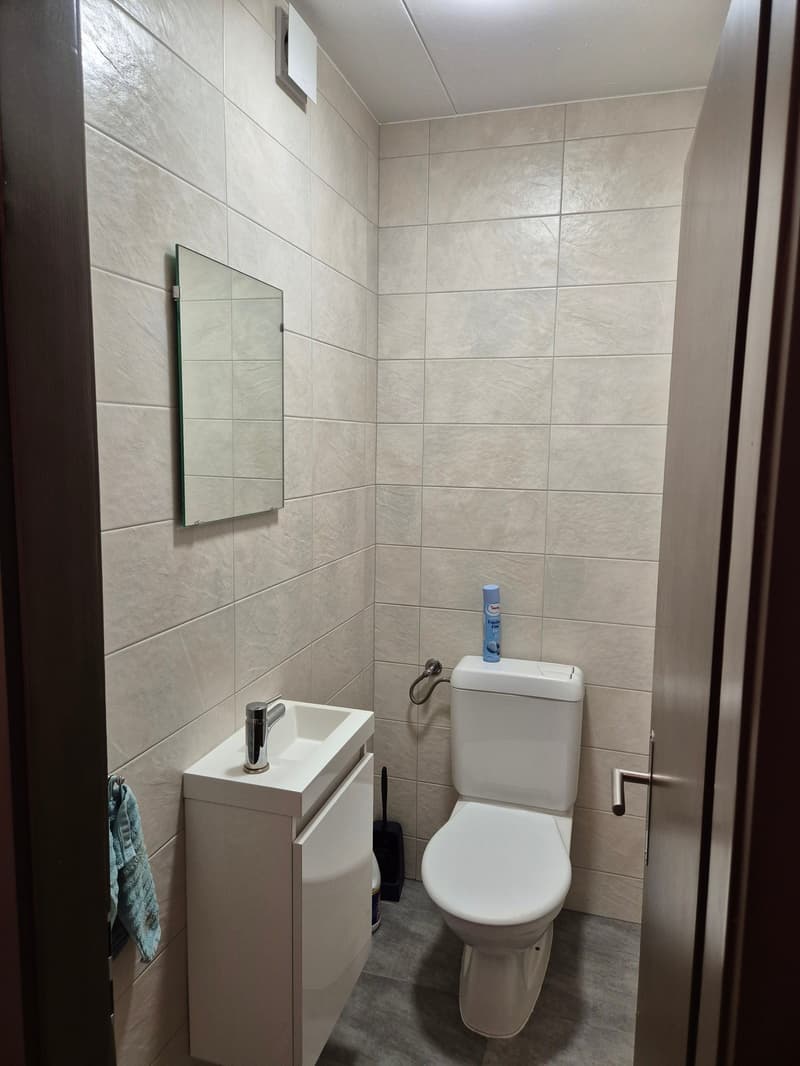 Charmant appartement en attique de 4.5 pièces à Saint-Léonard (10)