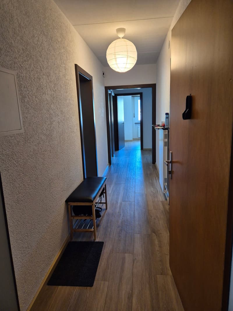 Charmant appartement en attique de 4.5 pièces à Saint-Léonard (8)