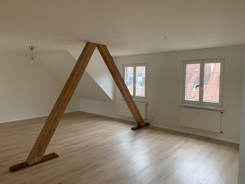 3.5-Zimmer-Maisonette-Wohnung mit grosser Panorama-Terrasse (14)