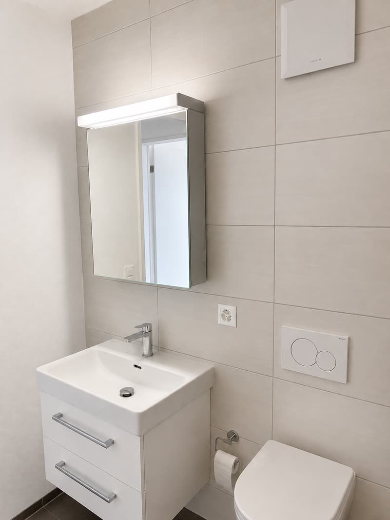 Moderne 2.5-Zimmer-Wohnung mit Balkon in Reinach BL (5)