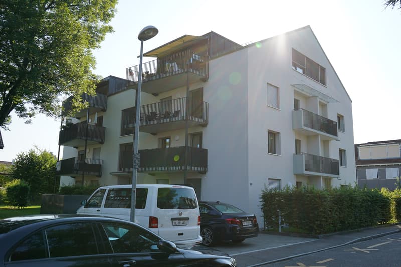 helle 6.5 Zimmer Dachwohnung in Allschwil (1)