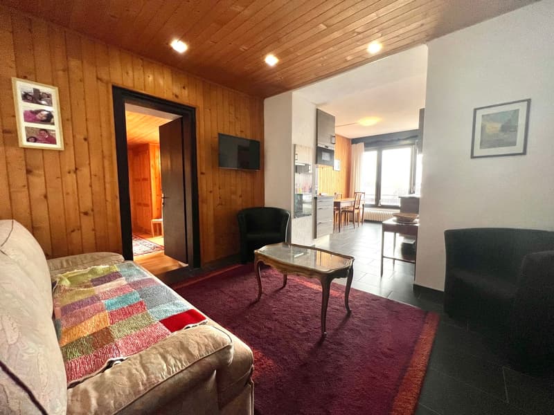 Appartement 10 m2 aux pieds du domaine skiable de Villars (2)