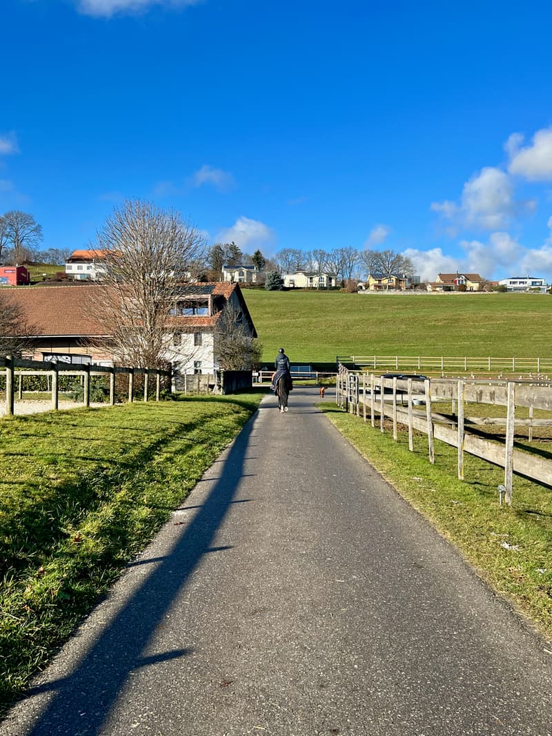 Manège en activité à vendre dans le canton de Fribourg | homegate.ch